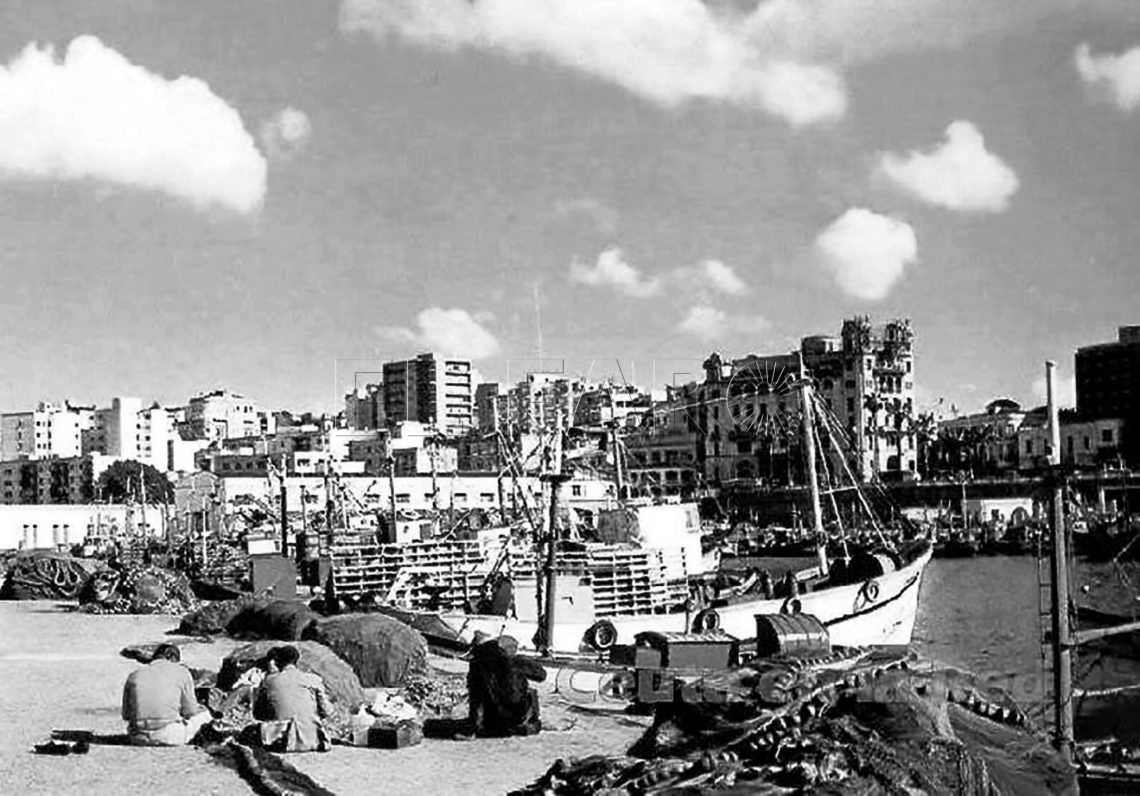 4ReparandoRedesDeLasTrinas RET 1140x796 1