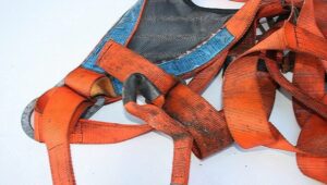 arnes seguridad inspeccion