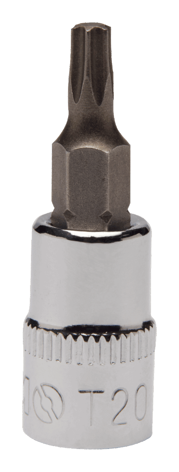 VASO PUNTA TORX 1/4"
